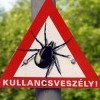 A KULLANCS ÚJ GYÓGYSZEREK 